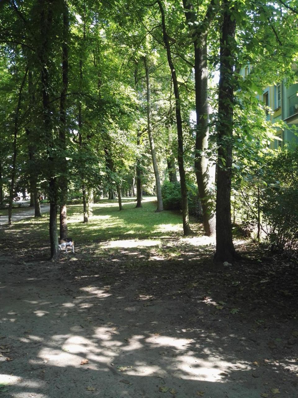 Ferienwohnung Zielone Studio Oborniki Śląskie Exterior foto